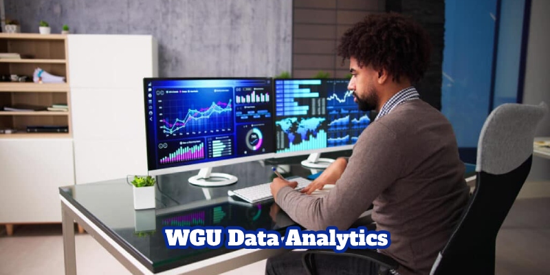 Objectives of the WGU data analytics program