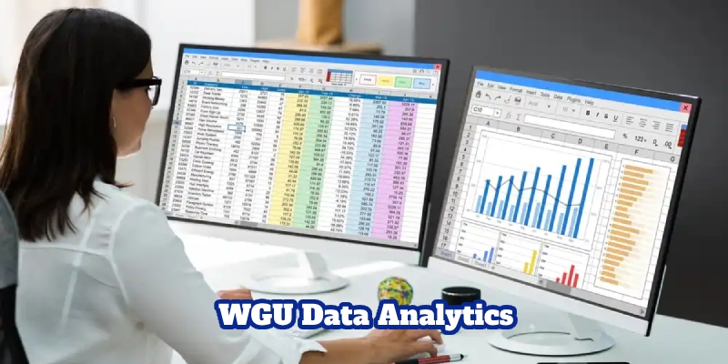 Suitable student target WGU data analytics