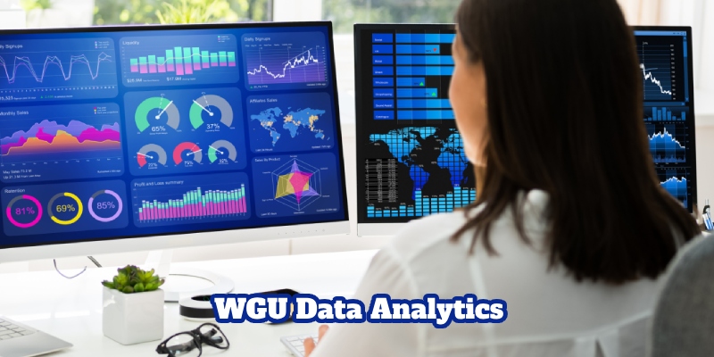 Suitable student target WGU data analytics